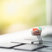 E' il momento dell' eCommerce