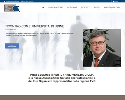 www.professionistifvg.it