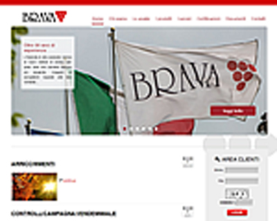 www.bravasrl.it