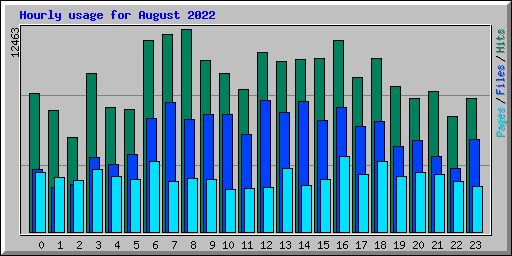 Hourly usage for August 2022