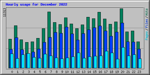 Hourly usage for December 2022